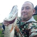  -,   , 53 ,   ,   