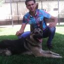  ,   Farxod, 36 ,   ,   , c 