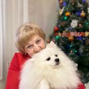 ���������� �������, ���� ������� �����, 65 ���, ������������ ��� c�������� ���������