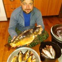 ���������� �����, ���� ������� Stells, 47 ���, ������������ ��� ������, ����� � ���������, c�������� ���������