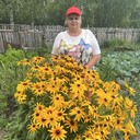 ���������� ������, ���� ������� ���������, 65 ���, ������������ ��� ������, ����� � ���������