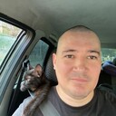 ���������� ������, ���� ������� �����, 38 ���, ������������ ��� ����� � ���������, c�������� ���������