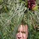 ���������� ��������, ���� ������� ��������, 39 ���, ������������ ��� ������, ����� � ���������, c�������� ���������, ���������