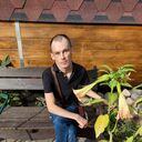 ���������� �����������, ���� ������� ����, 36 ���, ������������ ��� ������, ����� � ���������