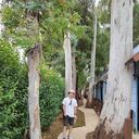  ,   , 29 ,   ,   , c 