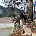 ���������� �����������, ���� ����� ���������, 20 ���, ������������ ��� ������, ����� � ���������, ���������