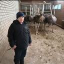 ���������� �������, ���� ������� ������, 70 ���, ������������ ��� ������, ����� � ���������