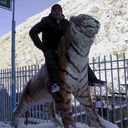 ���������� ��, ���� ������� ��������, 40 ���, ������������ ��� ������, ����� � ���������, c�������� ���������