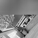 ���������� �����, ���� ������� �����, 29 ���, ������������ ��� ������, ����� � ���������