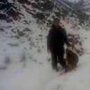 ���������� ������, ���� ������� ���������, 31 ���, ������������ ��� ������, ����� � ���������, c�������� ���������