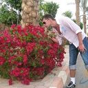  -,   Roman, 37 ,     , c , 