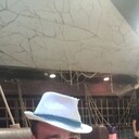 ���������� �����������, ���� ������� �����, 31 ���, ������������ ��� ������, ����� � ���������