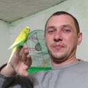 ���������� �����������, ���� ������� ��������, 46 ���, ������������ ��� c�������� ���������