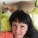  ,   , 31 ,   