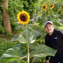  ,   Denis, 41 ,     , c , 