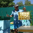 ���������� ������-��-����, ���� ������� ���������, 59 ���, ������������ ��� ������, ����� � ���������, c�������� ���������