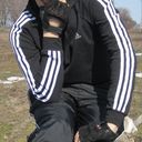 ���������� �������, ���� ������� ����, 38 ���, ������������ ��� ������, ����� � ���������, c�������� ���������