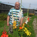  ,   , 61 ,  
