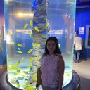  -,   , 43 ,   ,   , c , 