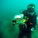 ���������� ���, ���� ������� ���������, 42 ����, ������������ ��� ������, ����� � ���������, c�������� ���������