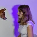 ���������� ���������, ���� ������� ��������, 21 ���, ������������ ��� ����� � ���������