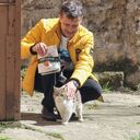 ���������� �����������, ���� ������� ������, 41 ���, ������������ ��� ������, ����� � ���������, c�������� ���������, ���������