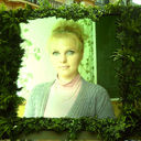 ���������� �����, ���� ������� ������, 43 ����, ������������ 