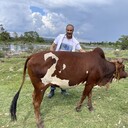 ���������� ������, ���� ������� Hatan, 47 ���, ������������ ��� ������, ����� � ���������, c�������� ���������, ���������