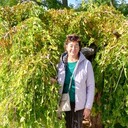 ���������� �����������, ���� ������� ��������, 60 ���, ������������ ��� ������, ����� � ���������