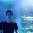 ���������� �����, ���� ������� ��������, 34 ����, ������������ ��� ������, ����� � ���������, c�������� ���������