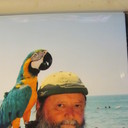  ,   , 65 ,   