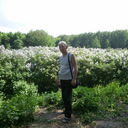  ,   Starik, 67 ,   ,   , c 