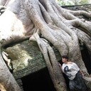 ���������� ������-��-����, ���� ������� ����, 45 ���, ������������ ��� ������, ����� � ���������