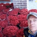 ���������� ����, ���� ������� ���������, 43 ����, ������������ ��� ������, ����� � ���������, c�������� ���������