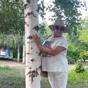 ���������� ������, ���� ������� �����, 63 ����, ������������ ��� ������, ����� � ���������, ���������