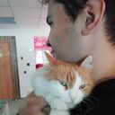  ,   , 30 ,   ,   , c , 