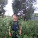  ,   , 61 ,   