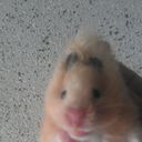 ���������� �������, ���� ������� Andrei, 38 ���, ������������ ��� ������, ����� � ���������, c�������� ���������