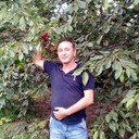  ,   , 60 ,   ,   