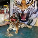 ���������� ������, ���� ������� ������, 31 ���, ������������ ��� ������, ����� � ���������