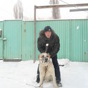 ���������� ������, ���� ������� Erken, 31 ���, ������������ ��� ������