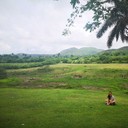 ���������� ������, ���� ������� ������, 33 ����, ������������ ��� ������, ����� � ���������, c�������� ���������