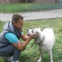 ���������� ������, ���� ������� ������, 38 ���, ������������ ��� ������, ����� � ���������, c�������� ���������