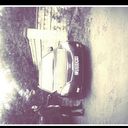 ���������� ��������, ���� ������� ����, 29 ���, ������������ ��� ������, ����� � ���������, c�������� ���������, ���������