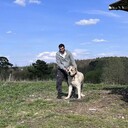 ,   Lektor, 35 ,   ,   