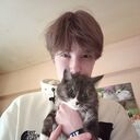 ���������� ����������, ���� ����� ����, 20 ���, ������������ ��� ������, ����� � ���������, c�������� ���������