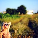 ���������� �������������-����������, ���� ������� ��������, 33 ����, ������������ ��� ����� � ���������, c�������� ���������