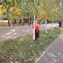 ,   , 68 ,   ,   