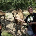 ���������� ������, ���� ������� ���������, 54 ����, ������������ 