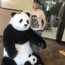 ���������� ������, ���� ������� �������, 26 ���, ������������ ��� ������, ����� � ���������, c�������� ���������, ���������